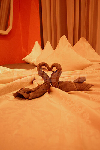 Galeriebild 28