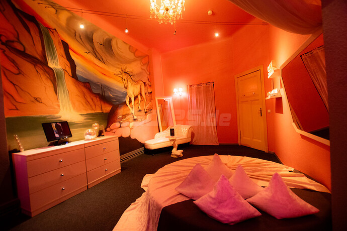 Galeriebild 27