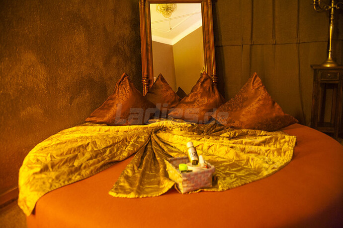 Galeriebild 22