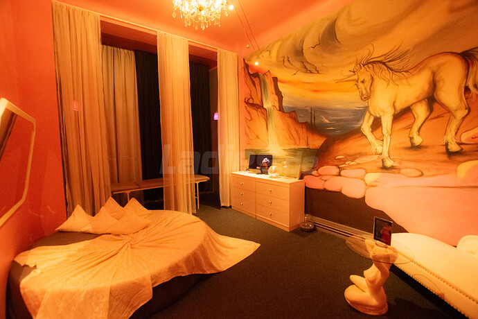 Galeriebild 30
