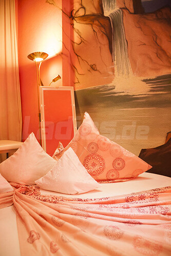Galeriebild 24