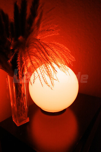 Galeriebild 33