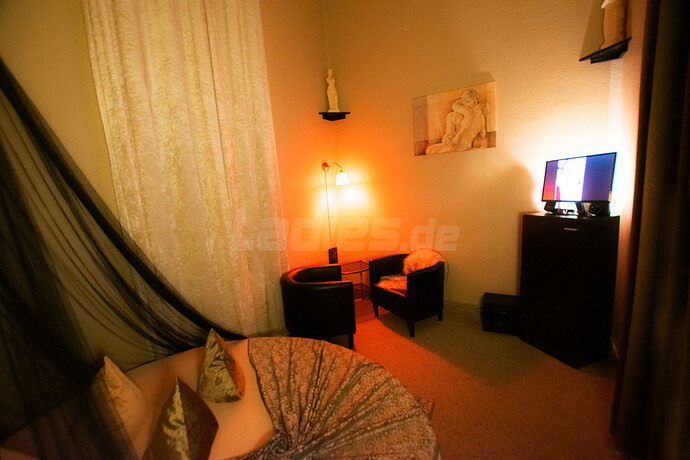 Galeriebild 32
