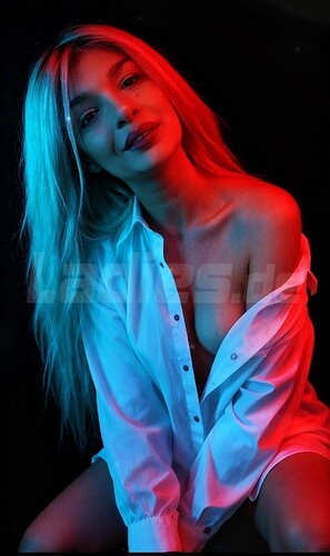Galeriebild 7