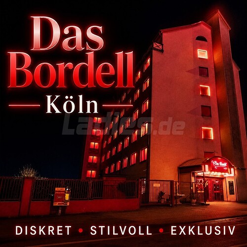 Galeriebild 12