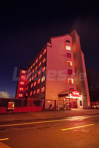 Galeriebild 13