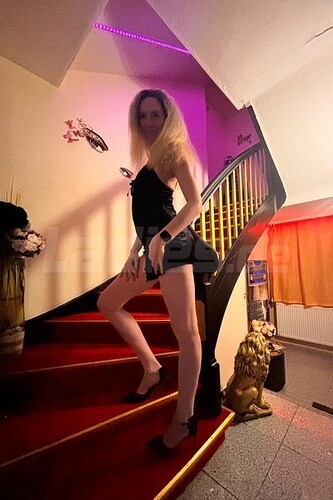 Galeriebild 3