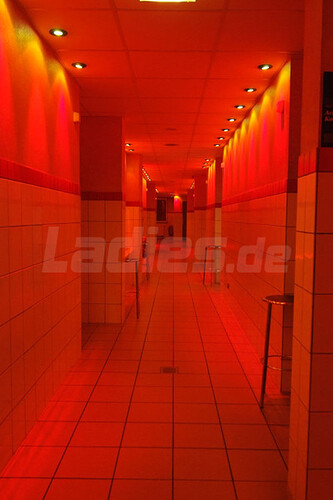 Galeriebild 19