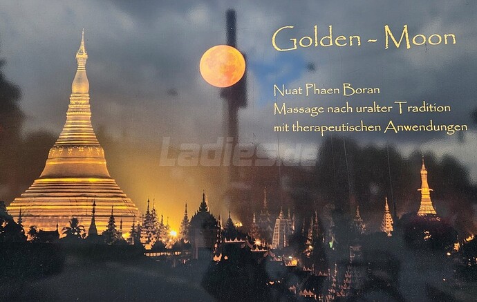 Galeriebild 5