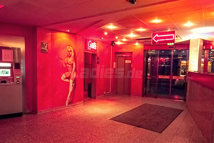 Galeriebild 20